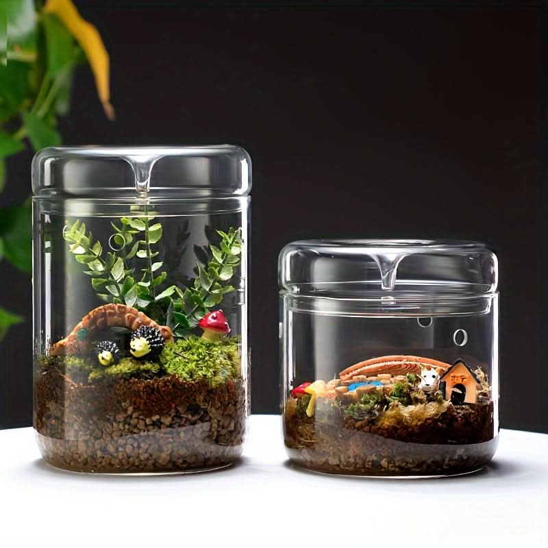 Mini Glass Vase for Plants & Moss