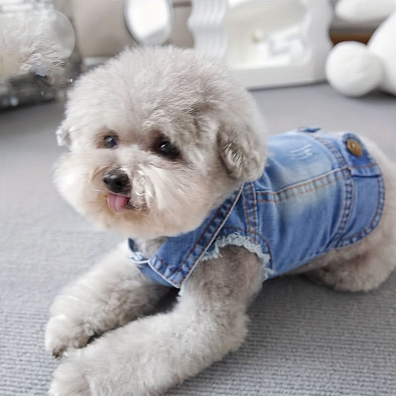 Dog Denim Vest for Small Dogs, Spring & Autumn