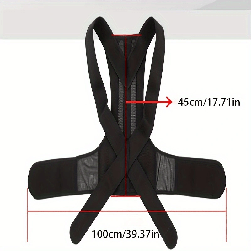 Adult Abdominal & Back Fixation Belt – Spine Posture Correction