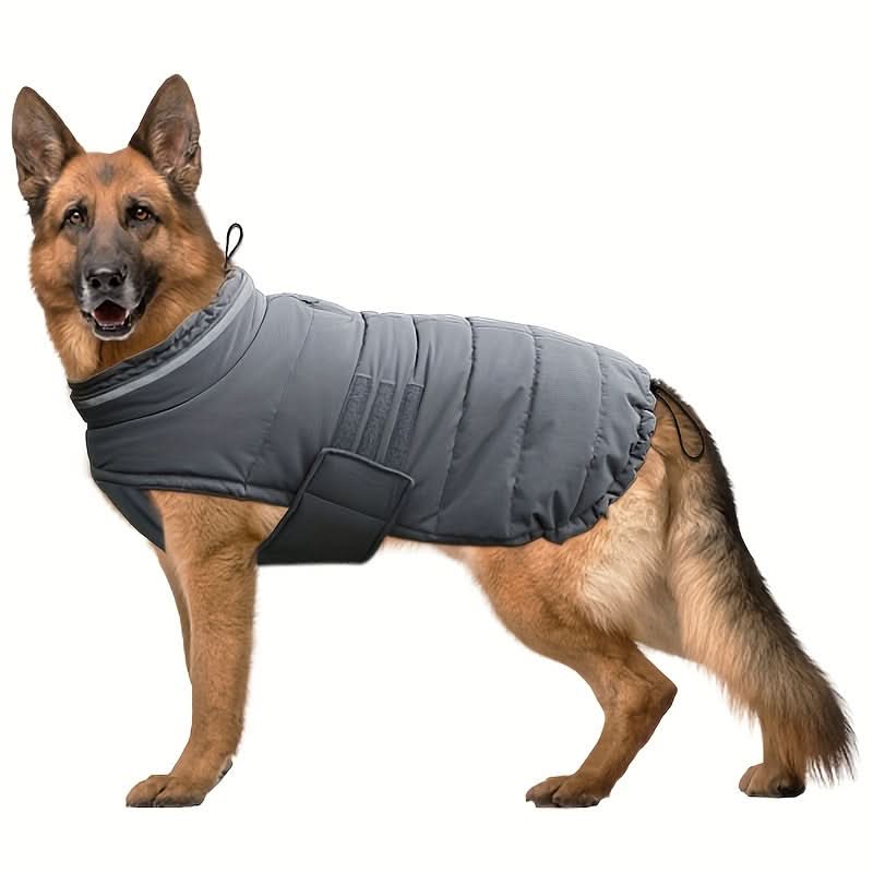 Waterproof Dog Winter Coat with Harness