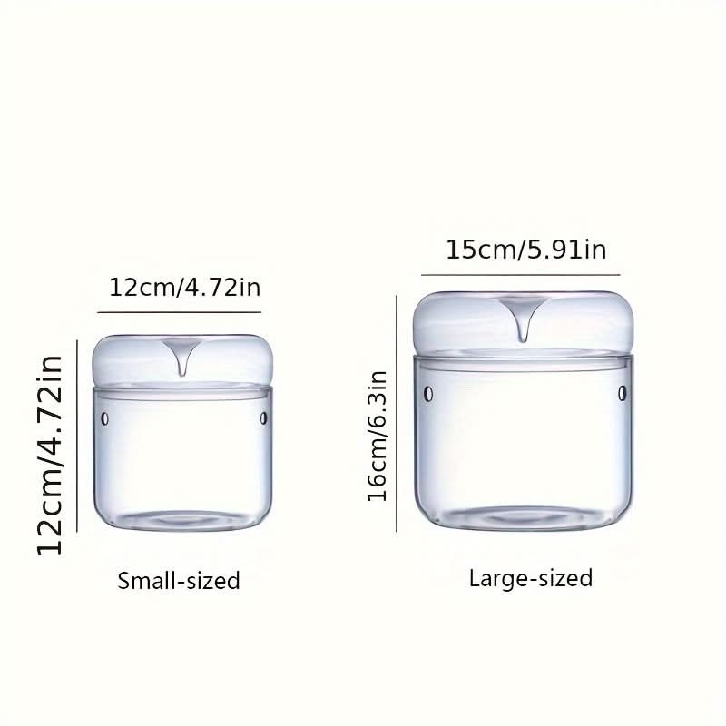 Mini Glass Vase for Plants & Moss