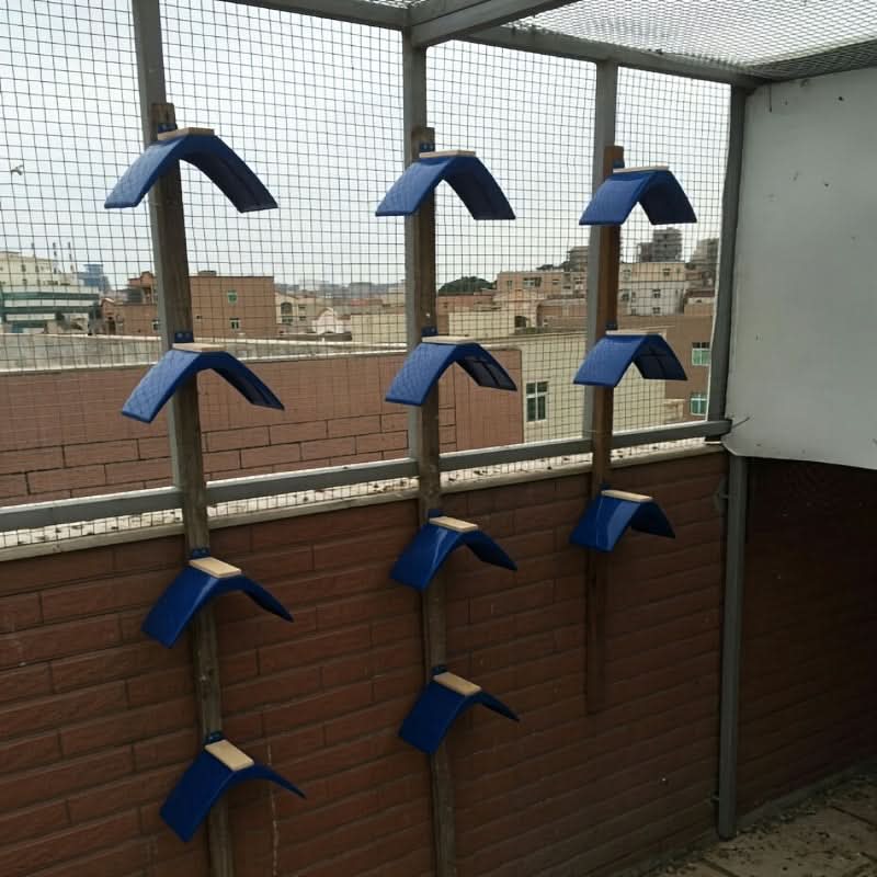 10-Piece Durable PC Pigeon Perches – Rest Stands for Racing Birds