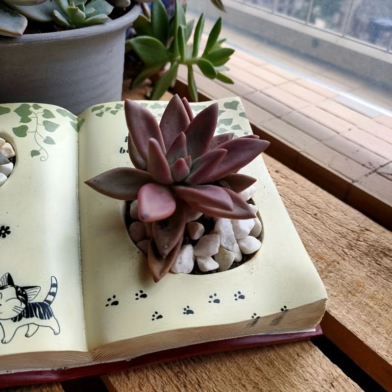 Modern Resin Book Planter with Drainage Hole