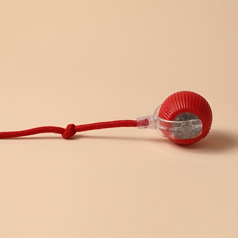 USB Rechargeable Interactive Cat Training Ball
