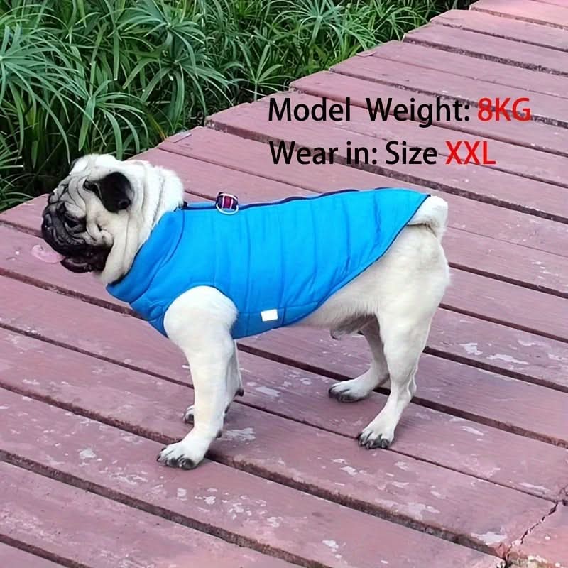 Waterproof Winter Pet Jacket for Small Dogs & Cats