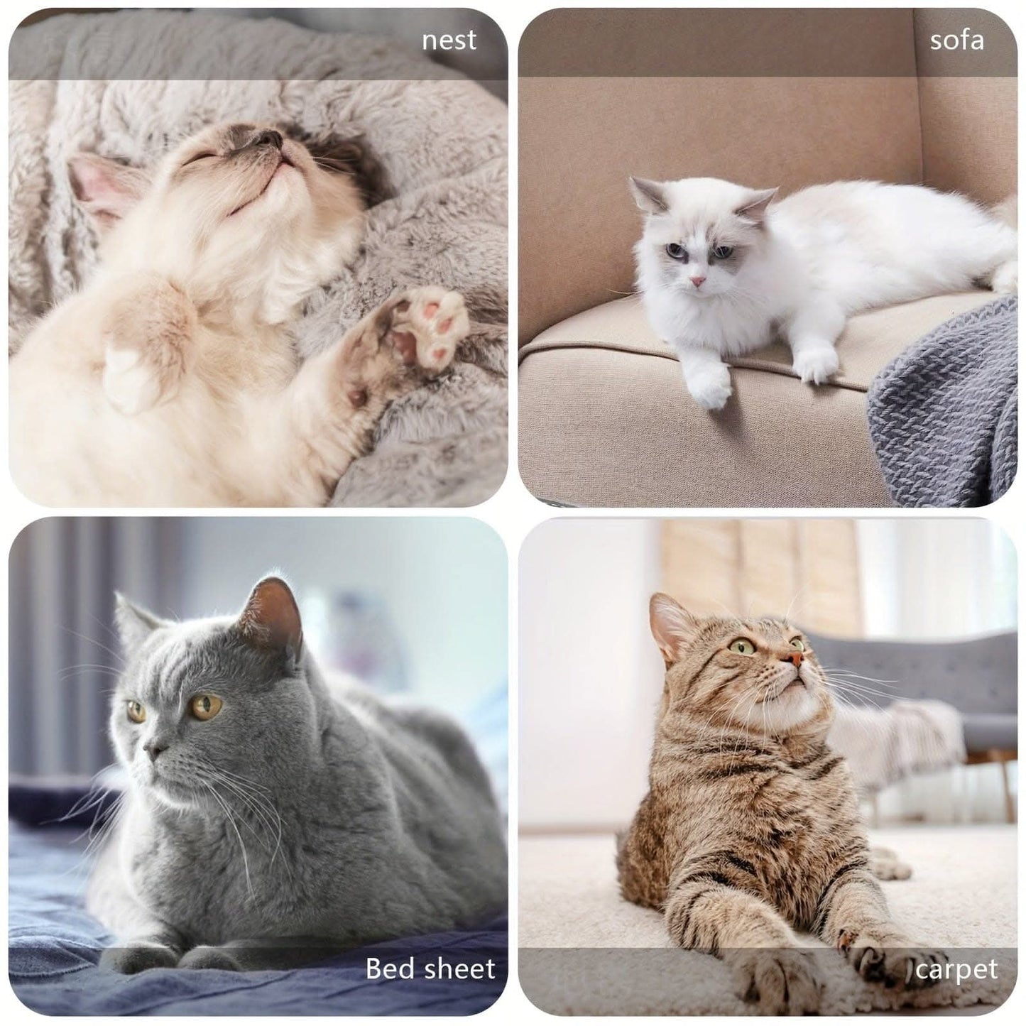 Essential Pet Hair Remover Tool