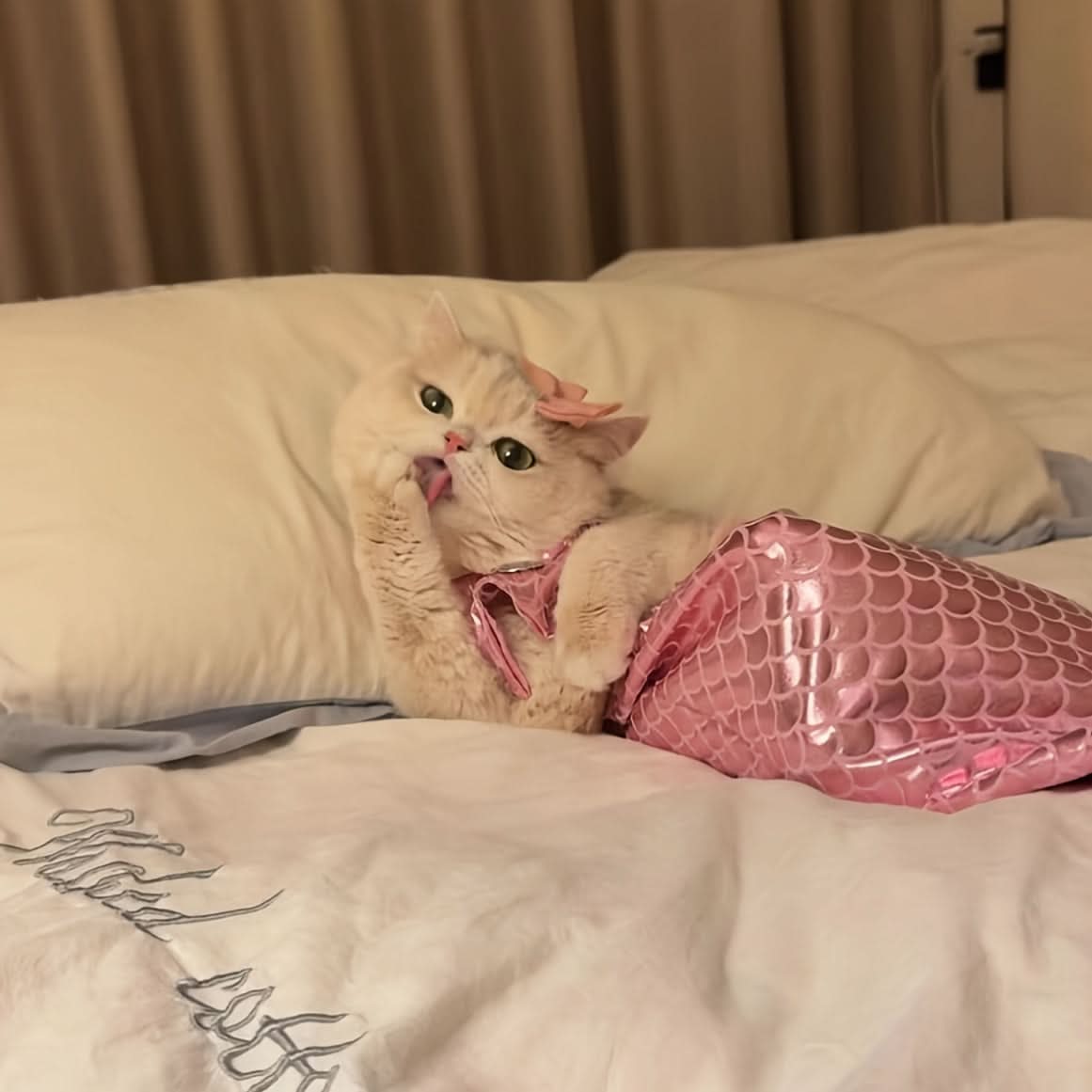 Adorable Cat Mermaid Costume for Small Pets