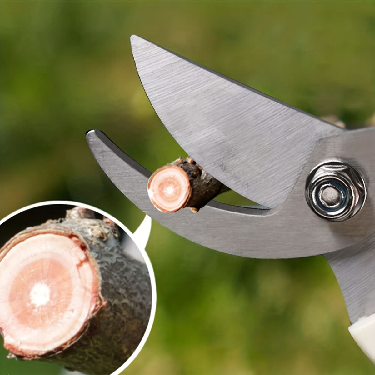 Sharp Garden Pruning Shears Set, Alloy Steel Blades
