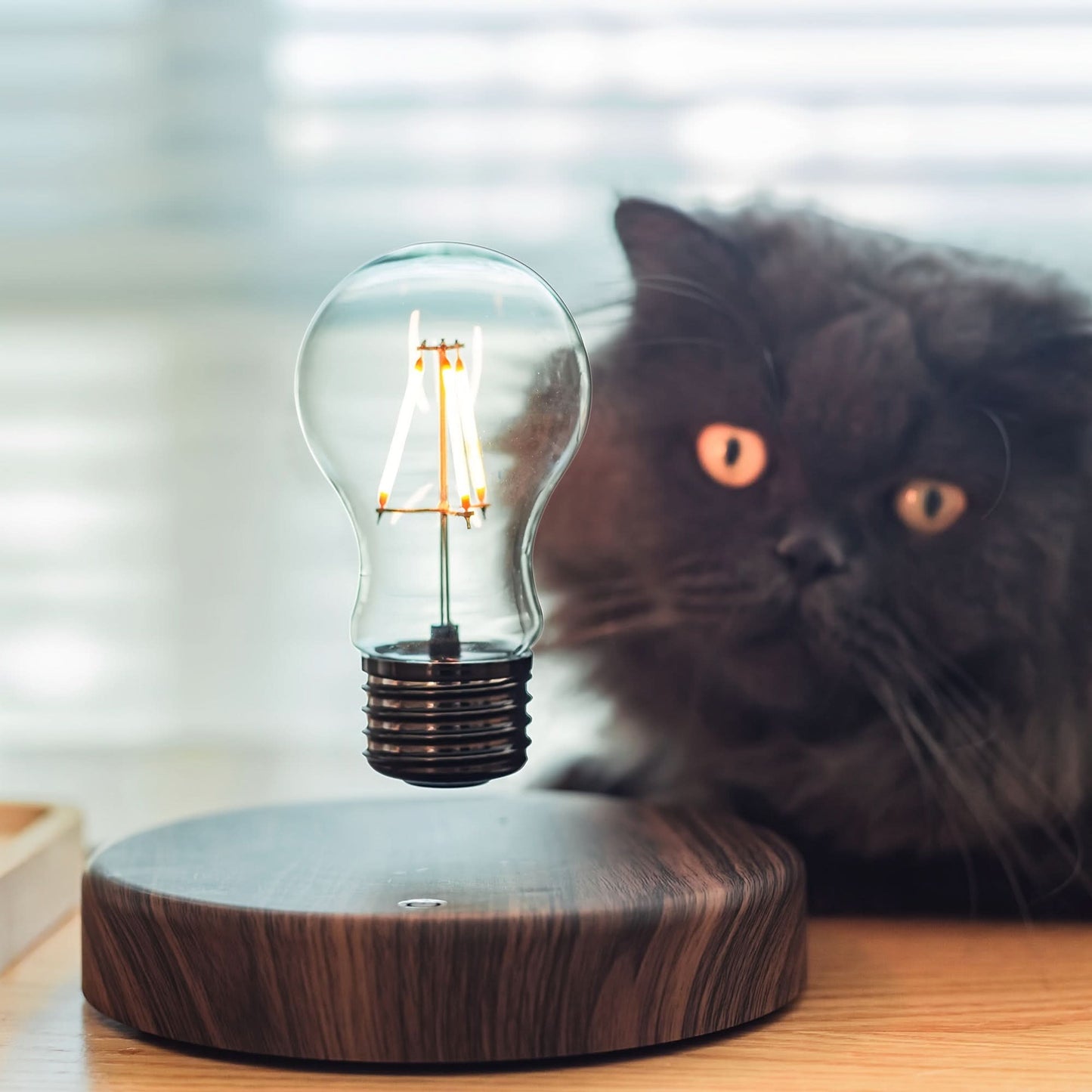 Magnetic Levitation Floating Light Bulb - Modern Night Light