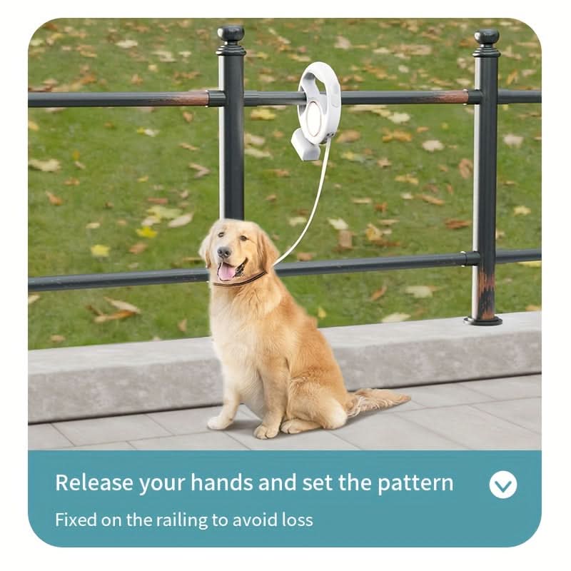 10ft Retractable Dog Leash with LED Light
