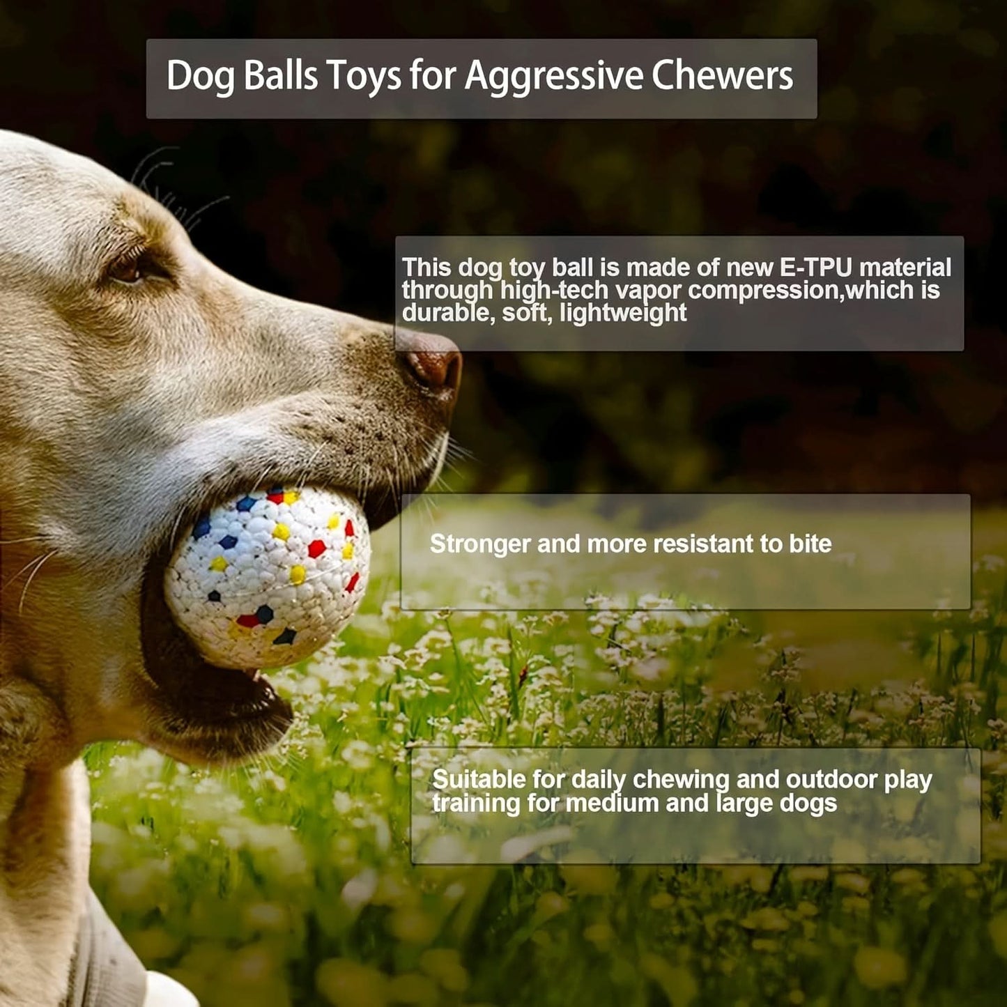 Durable Bouncy Chew Ball – Tough Dog Toy for Aggressive Chewers