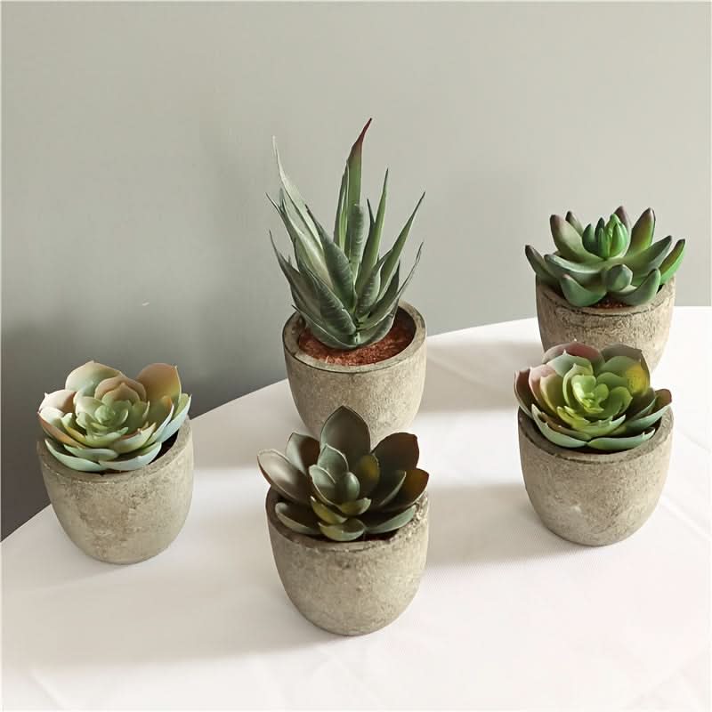 5pcs Mini Artificial Succulent Plants – Realistic Potted Decor