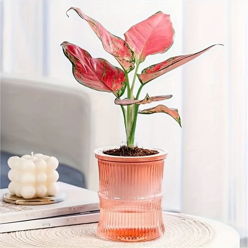 Self-Watering Bamboo Flower Pot