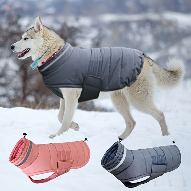 Waterproof Dog Winter Coat with Harness