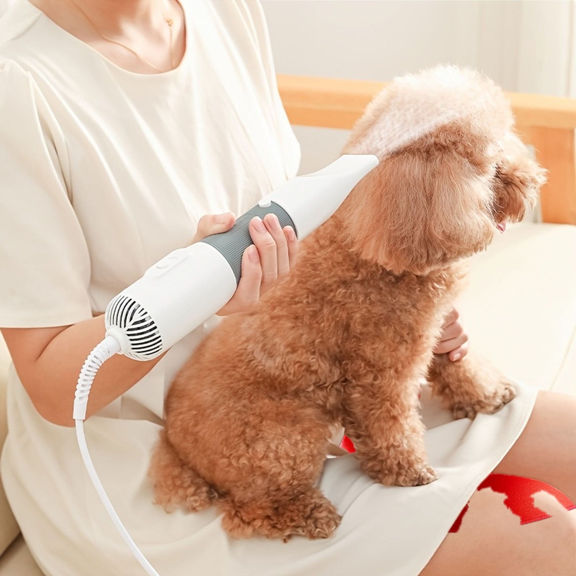 Quiet Pet Grooming Dryer with Brush