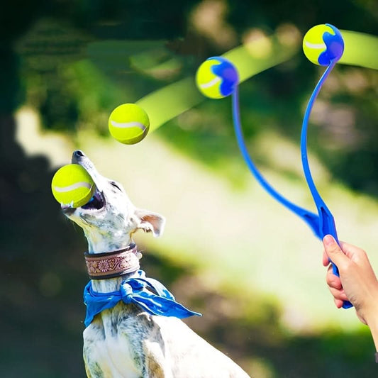 2-Pack Dog Ball Launcher Set for Training