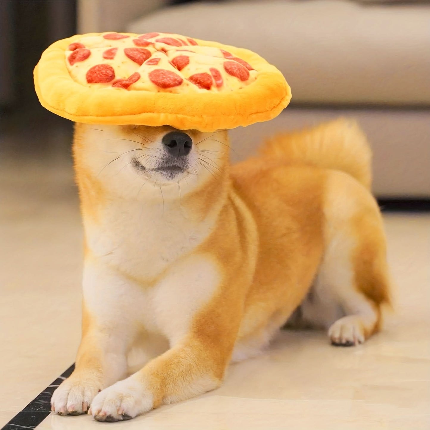 Interactive Pizza Plush Dog Toy – Squeaky Chew