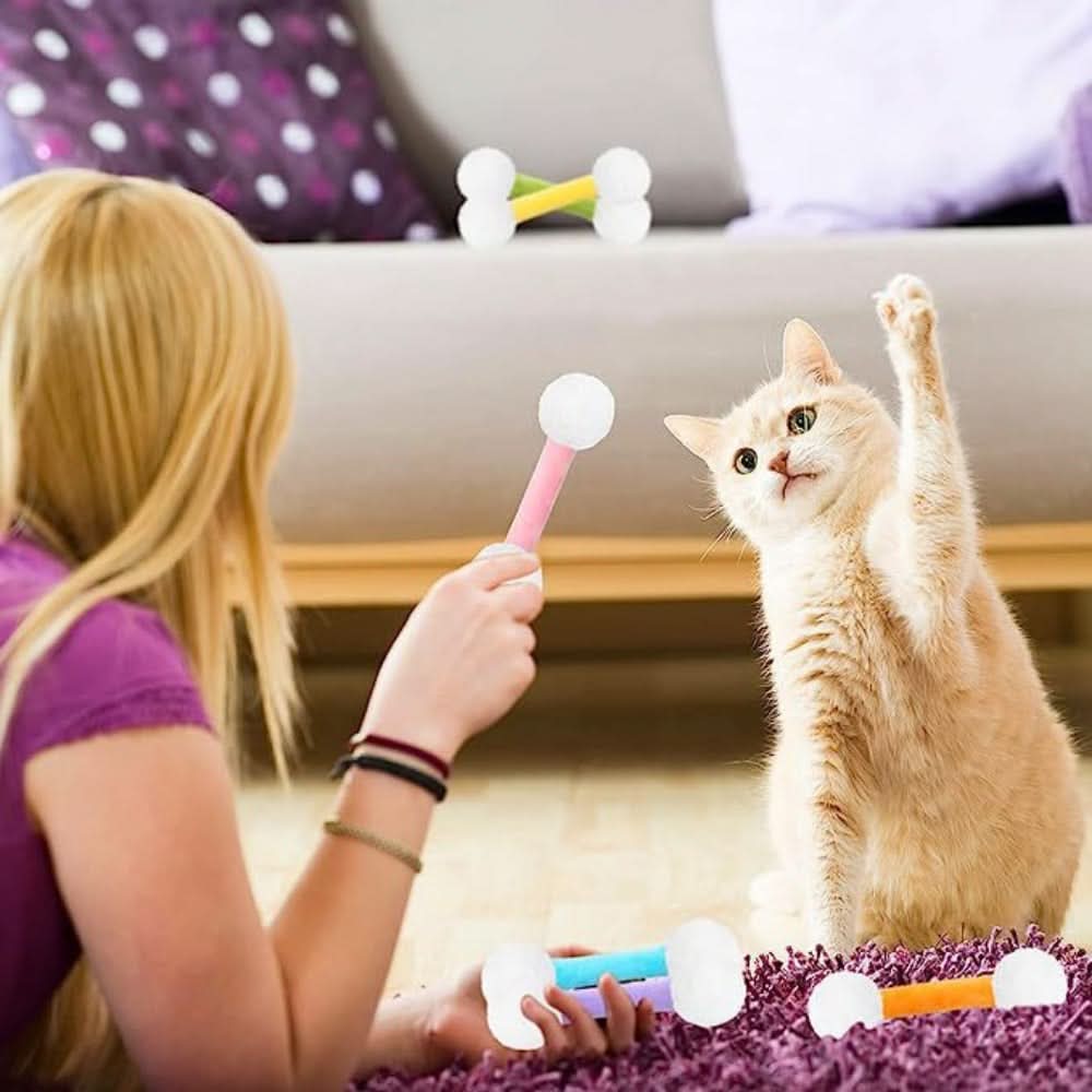 Set of 6 Interactive Toys for Indoor Cats