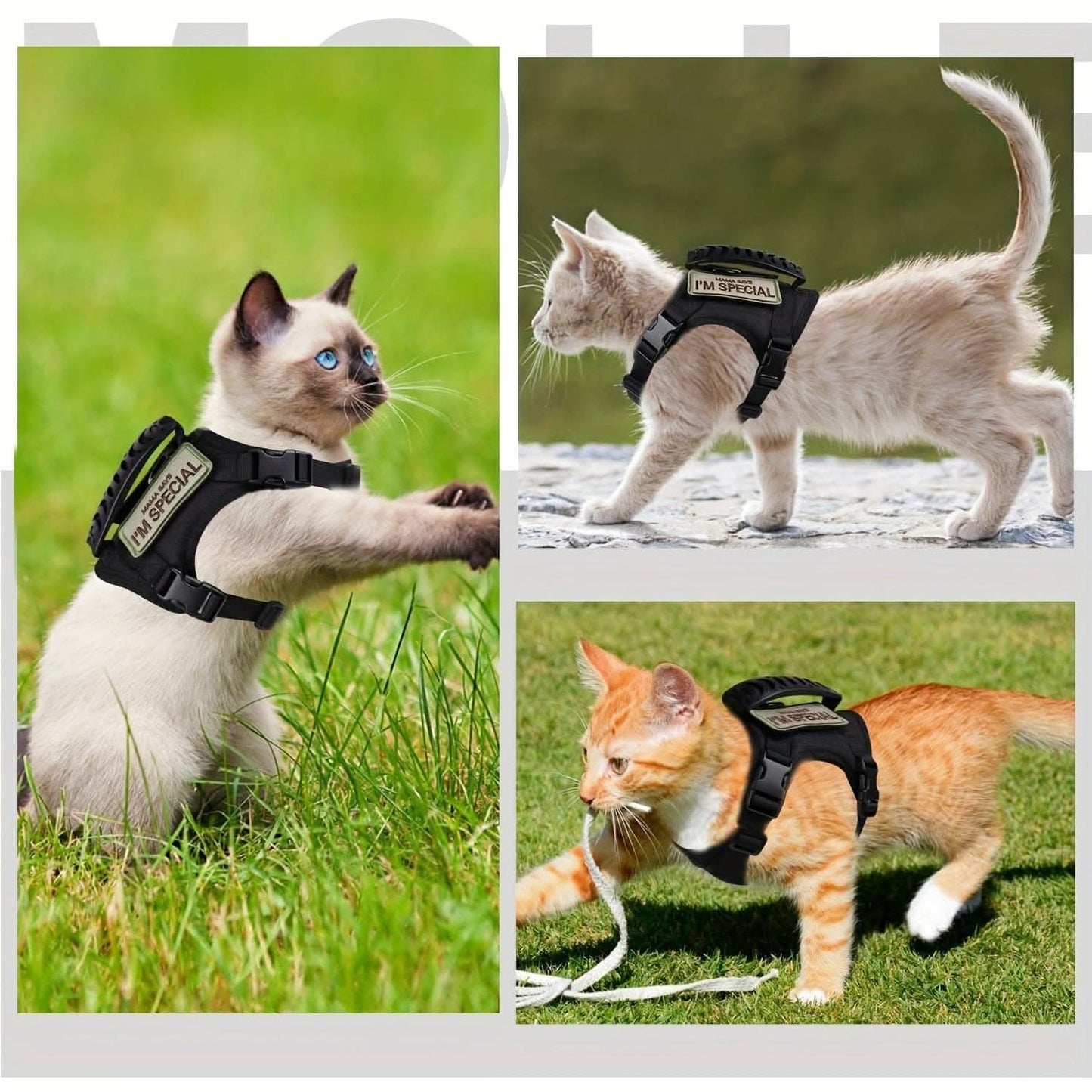 Adjustable 600D Tactical Pet Vest Harness - Durable, Comfortable, & Stylish Training Gear for Cats and Puppies