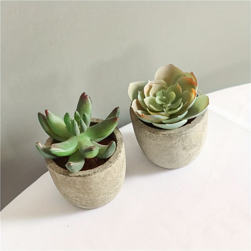 5pcs Mini Artificial Succulent Plants – Realistic Potted Decor