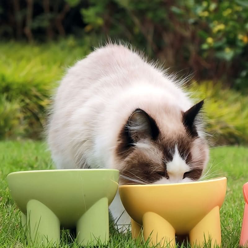 15-Degree Tilted Cat Bowls - Anti-Vomiting Elevated Set