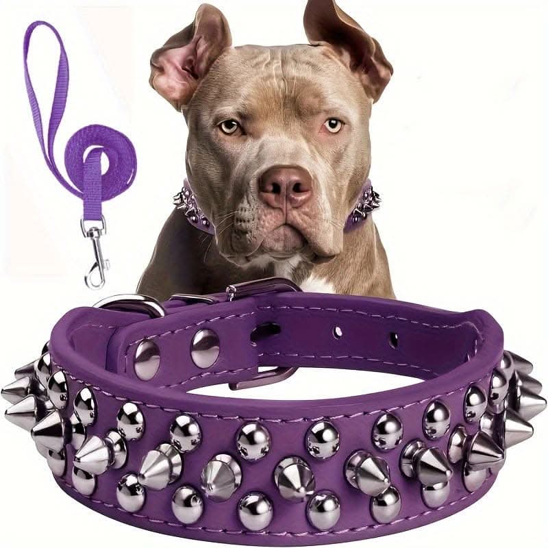 Adjustable Leather Spiked Dog Collar Set