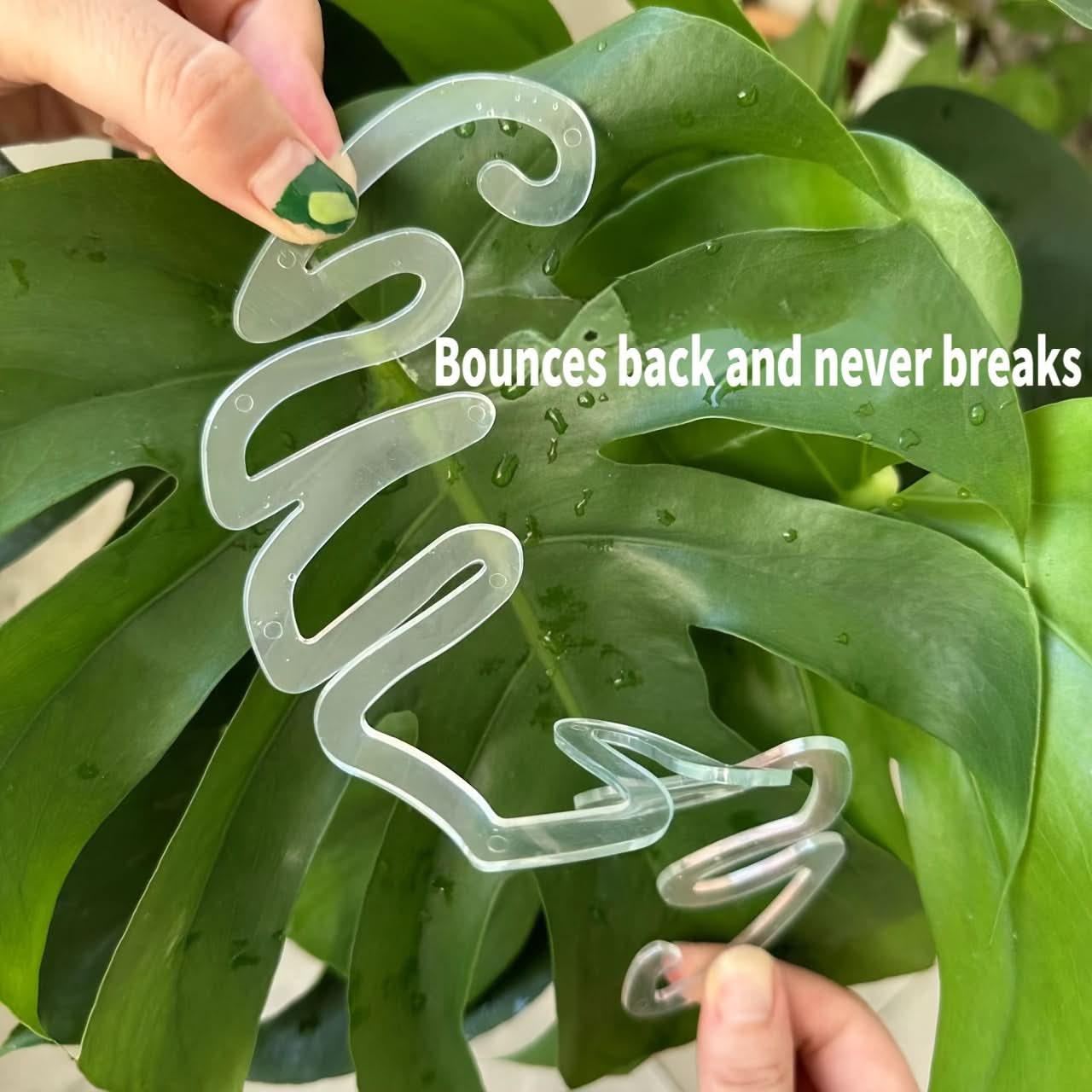 3pcs Adjustable Monstera Plant Support Clips