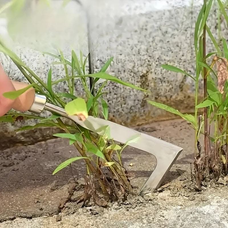 Stainless Steel Crevice Weeding Tool for Easy Lawn Maintenance