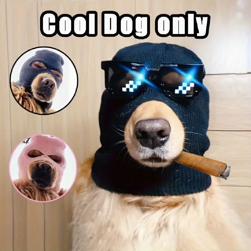 2pcs Dog Winter Hat & Glasses Set