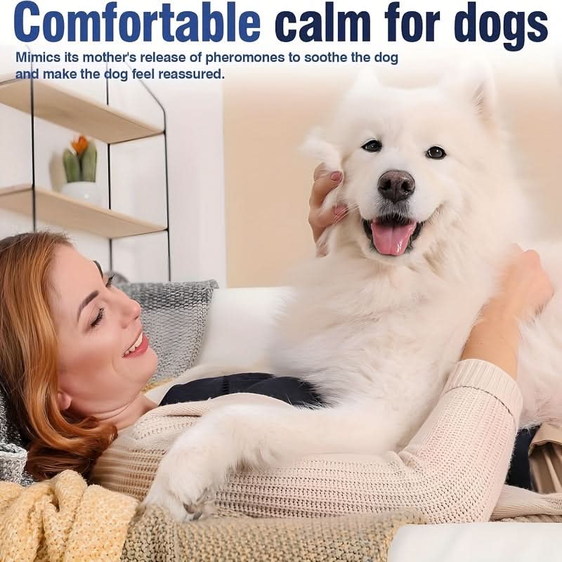 4-Pack Calming Dog Collars for Anxiety
