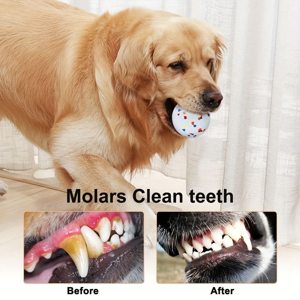 Durable Bouncy Chew Ball – Tough Dog Toy for Aggressive Chewers