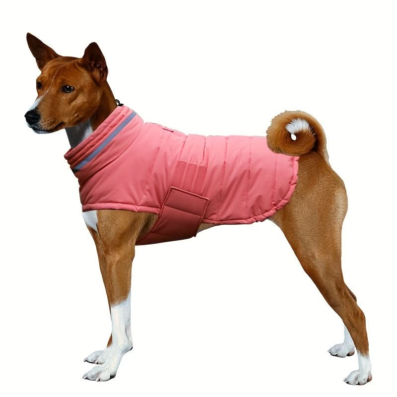 Waterproof Dog Winter Coat with Harness