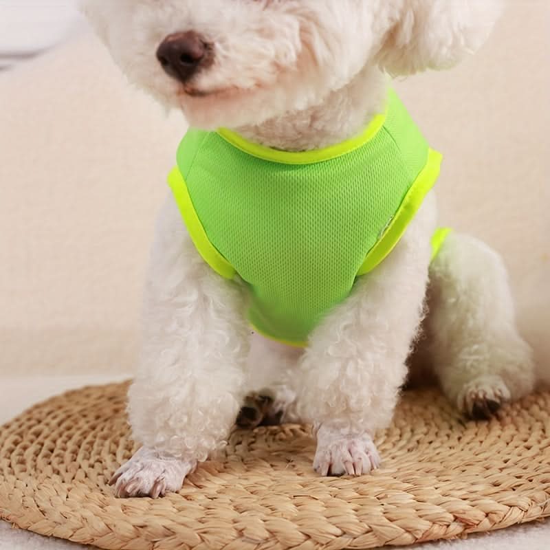 Breathable Mesh Pet Vest with Leash Hook