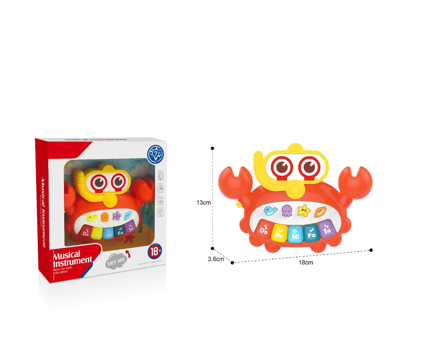 Play & Learn Infant Musical Instrument