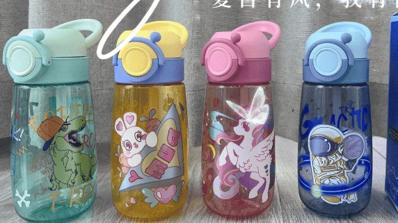 Water Bottle  500ml Assorted Assorted