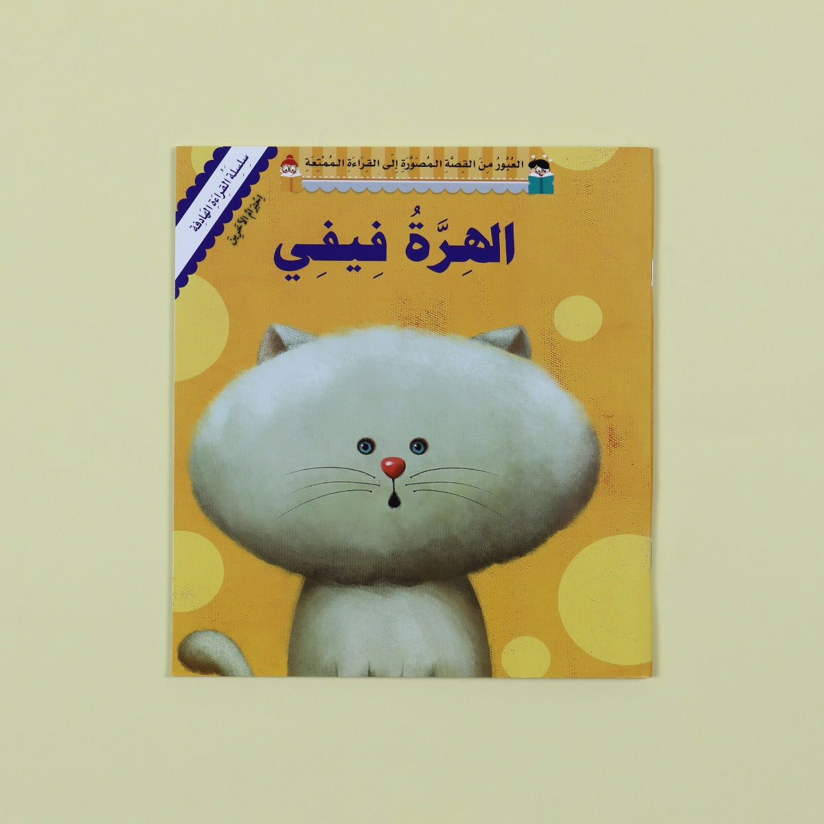 Meaningful Reading Series  Fifi The Cat