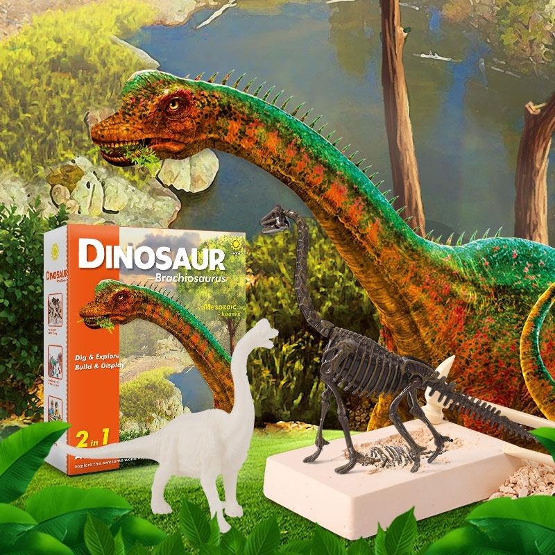 Dinosaur Dig Excavation Kit Brachiosaurus