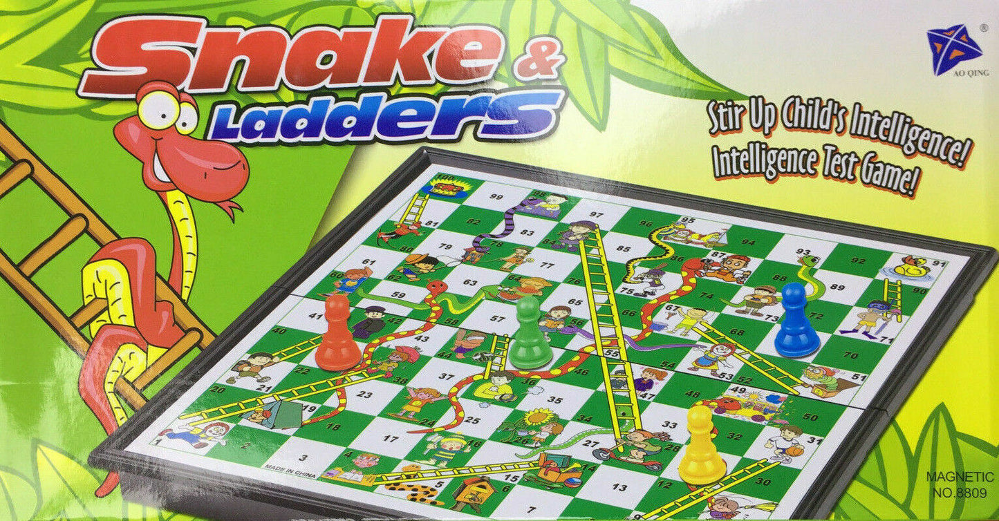 Snake and Ladder Game Magentic Board