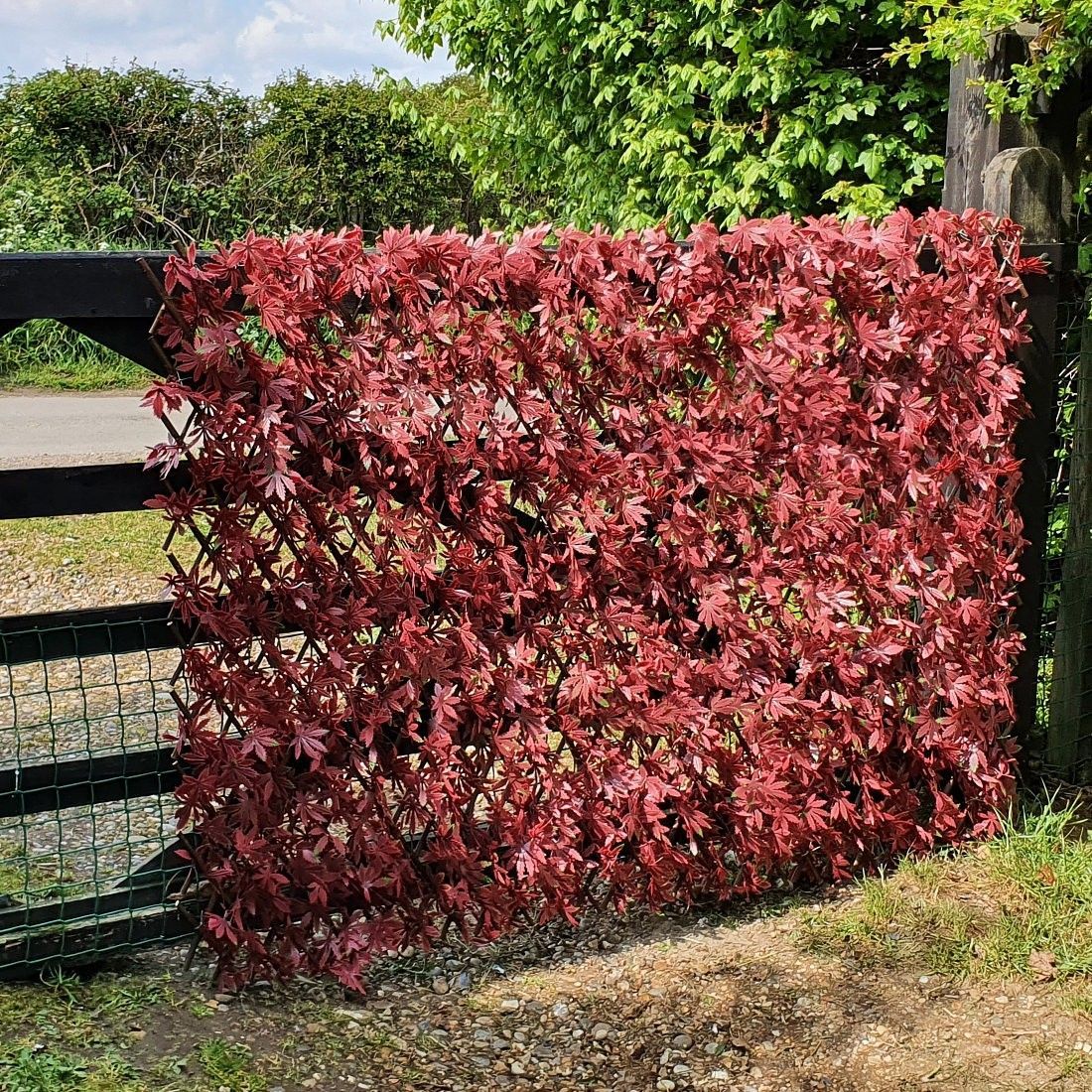 Artificial Red Acer Expanding Willow Trellis Fence Red